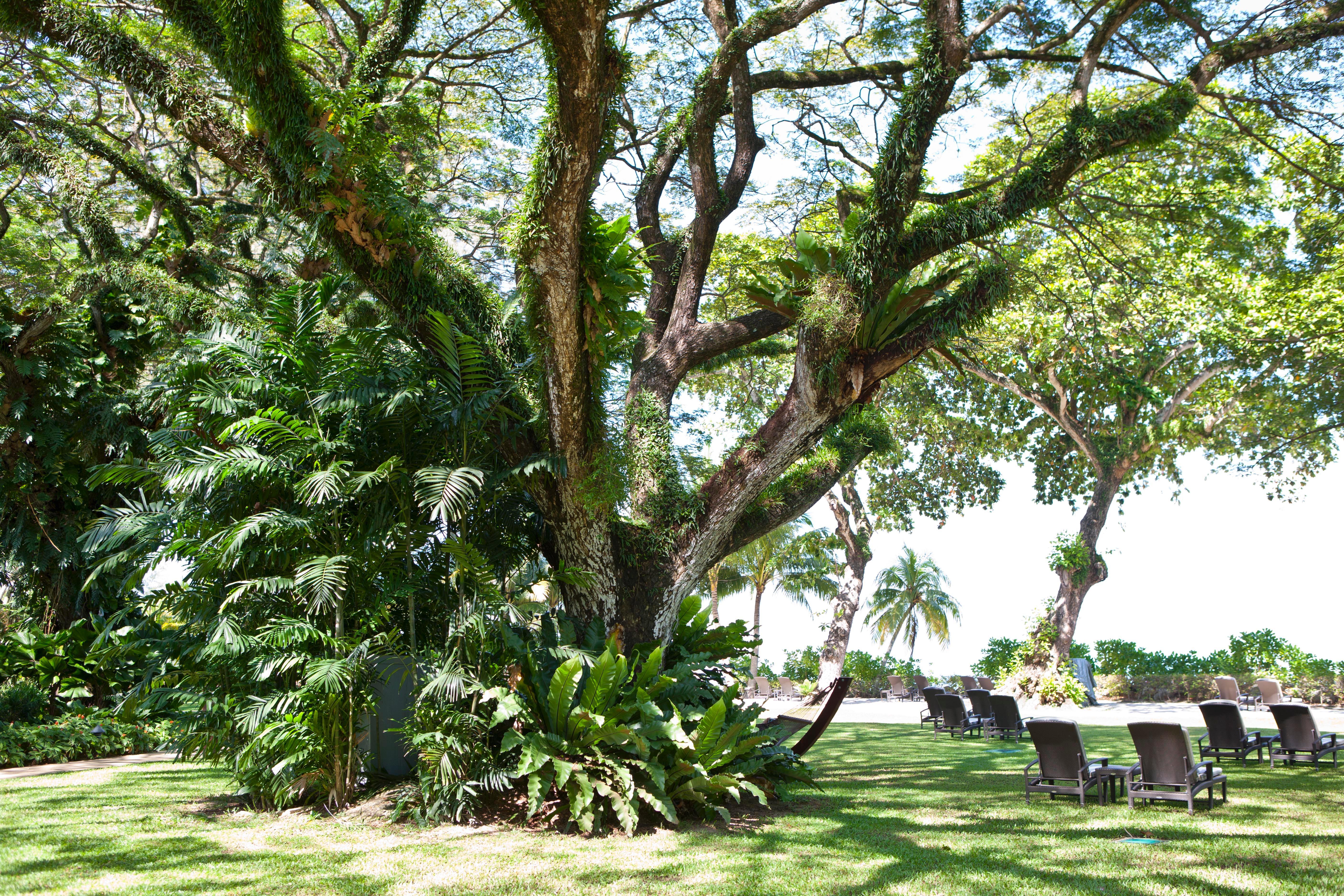 באטו פרינג'י Shangri-La Rasa Sayang, Penang מראה חיצוני תמונה The gardens of the hotel